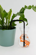 Moody Mandarin PlantSipper