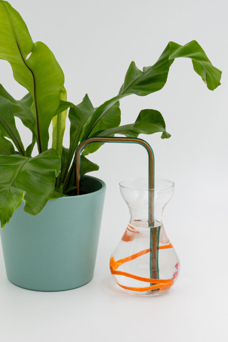 Aqua Lava glass self-watering insert installed into a pot on a white background, showing how it automatically waters indoor plants.