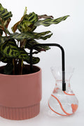 Twilight Rose glass self-watering insert installed into a pot on a white background, showing how it automatically waters indoor plants.